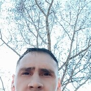  ,   , 41 ,     , c 