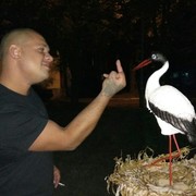 ���������� ����, ���� ������� �������, 44 ����, ������������ ��� ������