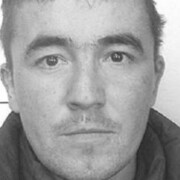 ���������� �����, ���� ������� ���, 41 ���, ������������ ��� ����� � ���������, c�������� ���������