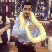  ,   Kadir, 30 ,   ,   
