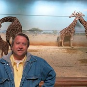 ���������� ������, ���� ������� �����, 62 ����, ������������ ��� ������, ����� � ���������, c�������� ���������