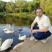  -,   , 36 ,  