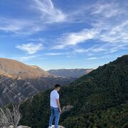 ���������� ������, ���� ������� Shok, 29 ���, ������������ ��� ������, ����� � ���������