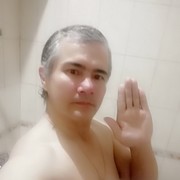  -,   , 51 ,   ,   , c 