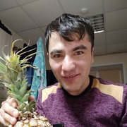  ,   Maruf, 36 ,   ,   , c 