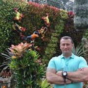 ���������� ������, ���� ������� ����, 45 ���, ������������ ��� ������, ����� � ���������, c�������� ���������