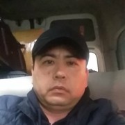  ,   Kamol, 41 ,   ,   , c 
