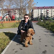  -,   , 44 ,   ,   , c 