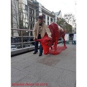 ���������� �������, ���� ������� �����, 42 ����, ������������ ��� ������, ����� � ���������