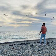 ���������� ������, ���� ������� �����, 40 ���, ������������ ��� ������, ����� � ���������