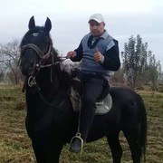  ,   , 43 ,   ,   , c 