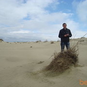 ���������� �����������, ���� ������� �����, 42 ����, ������������ ��� ������, ����� � ���������, c�������� ���������