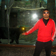  ,   Mongol, 50 ,   ,   , c 