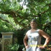 ���������� �����, ���� ������� BUT81, 44 ����, ������������ ��� ������, ����� � ���������, c�������� ���������