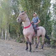  ,   Narzullo, 25 ,   ,   