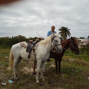  ,   C, 71 ,   ,   , c 