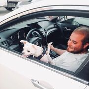 ���������� ������, ���� ������� ������, 31 ���, ������������ ��� ������, ����� � ���������