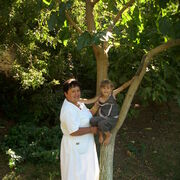 ���������� ������, ���� ������� �������, 65 ���, ������������ ��� c�������� ���������, ���������