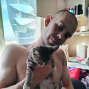 ���������� �����-���������, ���� ������� �����, 32 ����, ������������ ��� ����� � ���������, c�������� ���������, ���������