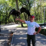  --,   , 48 ,   ,   , c , 