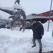 ���������� ����, ���� ������� ϸ��, 61 ���, ������������ ��� ������, ����� � ���������