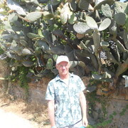 ���������� �����-���������, ���� ������� ������, 65 ���, ������������ ��� ������, ����� � ���������