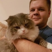 ���������� ������, ���� ������� ������, 37 ���, ������������ ��� ������, ����� � ���������, c�������� ���������