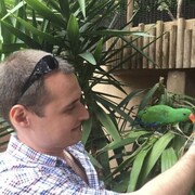 ���������� �����������, ���� ������� �����, 37 ���, ������������ ��� ������, ����� � ���������, c�������� ���������, ���������