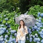 ���������� ������, ����