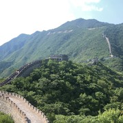 ���������� ������, ���� ������� �����, 46 ���, ������������ ��� ������, ����� � ���������, c�������� ���������