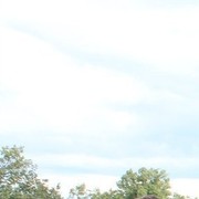 ���������� ���������, ���� ������� �����, 32 ����, ������������ ��� ������, ����� � ���������, c�������� ���������