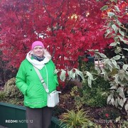 ���������� ������, ���� ������� �����, 66 ���, ������������ ��� ������, ����� � ���������, c�������� ���������