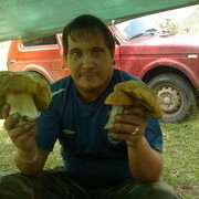 ���������� ������������, ���� ������� ���������, 44 ����, ������������ ��� ������, ����� � ���������, c�������� ���������