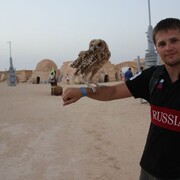 ���������� ������, ���� ������� ����, 37 ���, ������������ ��� ������, ����� � ���������, c�������� ���������, ���������