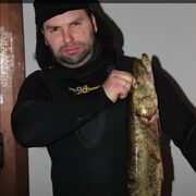 ���������� �������, ���� ������� ������, 38 ���, ������������ ��� ������, ����� � ���������, c�������� ���������, ���������