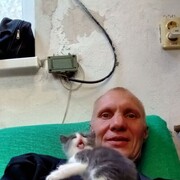 ���������� �����������, ���� ������� �������, 47 ���, ������������ ��� ������, ����� � ���������