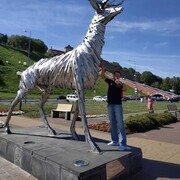 ���������� ������, ���� ������� �����, 55 ���, ������������ ��� ������, ����� � ���������