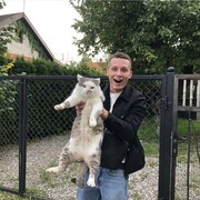 ���������� ������, ���� ������� �������, 27 ���, ������������ ��� ������, ����� � ���������