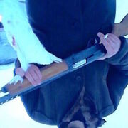 ���������� �����-���������, ���� ������� �����, 39 ���, ������������ ��� ������, ����� � ���������, c�������� ���������, ���������