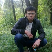 ���������� �����-���������, ���� ������� ������, 36 ���, ������������ ��� ������, ����� � ���������