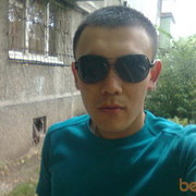  ,   ARCHI, 37 ,     , c 