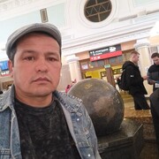  ,   Nasimii, 48 ,   ,   
