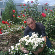 ,   , 55 ,   ,   , c 