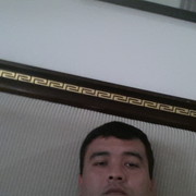  ,   Murodillo, 41 ,   ,   , c 