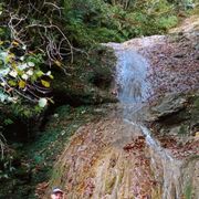 ���������� ������-��-����, ���� ������� �����, 39 ���, ������������ ��� ������, ����� � ���������