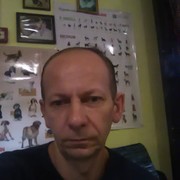  ,   , 51 ,   ,   , c 