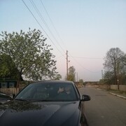 ���������� ������������, ���� ������� ������, 33 ����, ������������ 