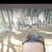  ,   , 62 ,   c 