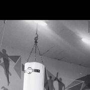 ���������� ������, ���� ������� ������, 41 ���, ������������ ��� ������, ����� � ���������