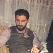  ,   Ash, 41 ,   ,   , c , 